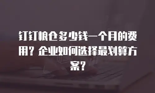 钉钉粮仓多少钱一个月的费用？企业如何选择最划算方案？