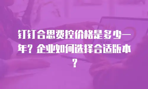 钉钉合思费控价格是多少一年？企业如何选择合适版本？