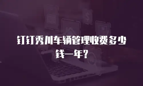 钉钉秀川车辆管理收费多少钱一年？