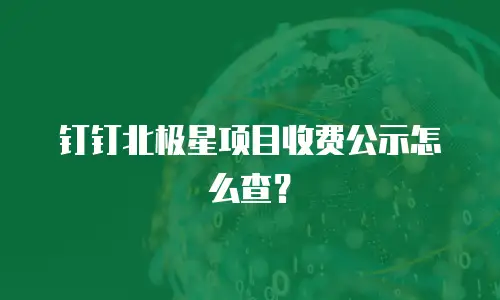 钉钉北极星项目收费公示怎么查？