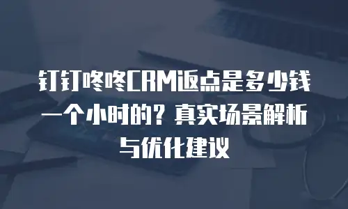 钉钉咚咚CRM返点是多少钱一个小时的？真实场景解析与优化建议