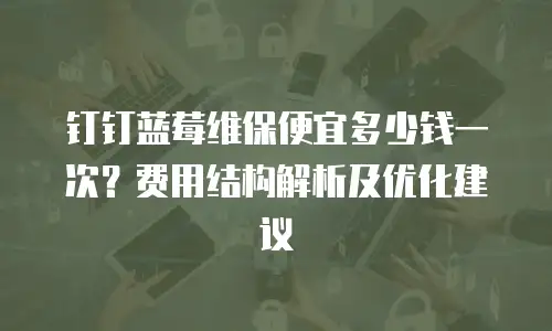 钉钉蓝莓维保便宜多少钱一次？费用结构解析及优化建议