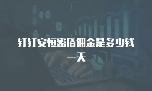 钉钉安恒密盾佣金是多少钱一天