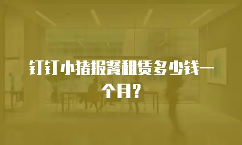 钉钉小猪报餐租赁多少钱一个月？