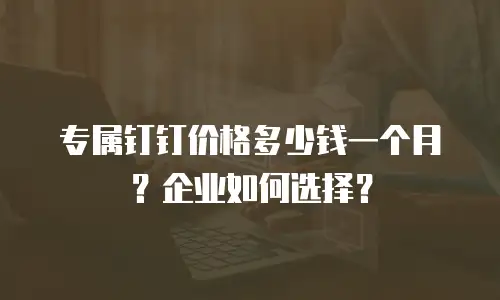 专属钉钉价格多少钱一个月？企业如何选择？