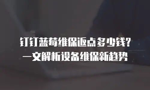钉钉蓝莓维保返点多少钱？一文解析设备维保新趋势