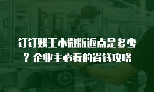 钉钉账王小微版返点是多少？企业主必看的省钱攻略