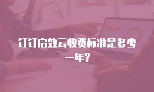 钉钉启效云收费标准是多少一年？