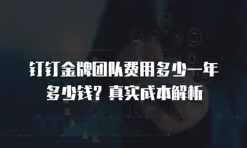 钉钉金牌团队费用多少一年多少钱？真实成本解析