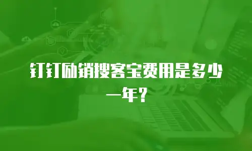 钉钉励销搜客宝费用是多少一年？