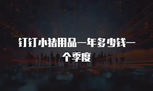 钉钉小猪用品一年多少钱一个季度