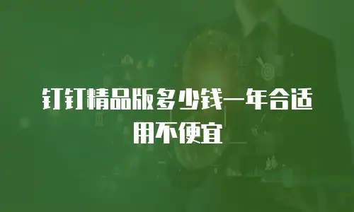钉钉精品版多少钱一年合适用不便宜