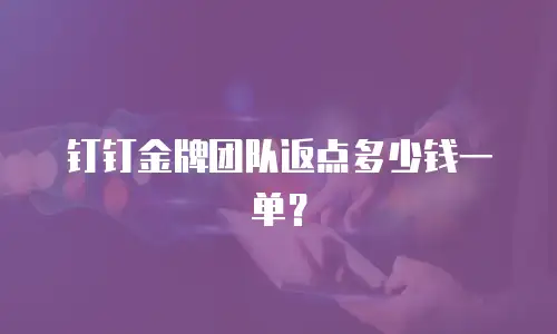 钉钉金牌团队返点多少钱一单？