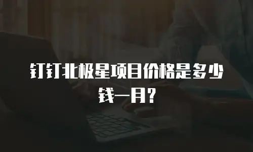 钉钉北极星项目价格是多少钱一月？