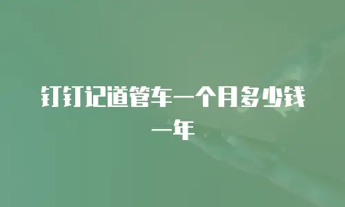 钉钉记道管车一个月多少钱一年