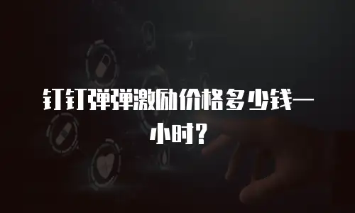 钉钉弹弹激励价格多少钱一小时？
