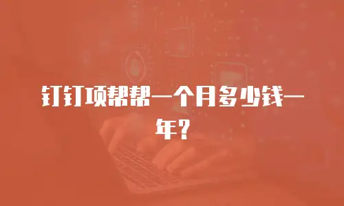 钉钉项帮帮一个月多少钱一年？
