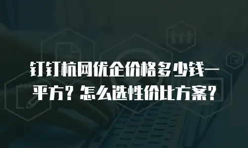 钉钉杭网优企价格多少钱一平方？怎么选性价比方案？