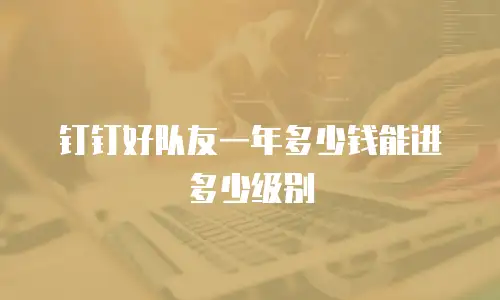 钉钉好队友一年多少钱能进多少级别
