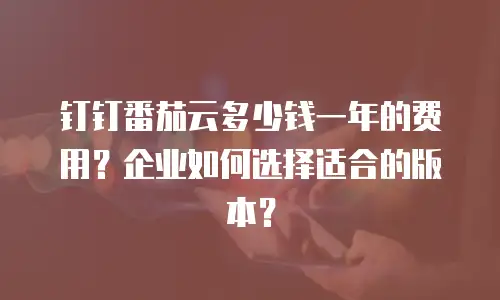 钉钉番茄云多少钱一年的费用？企业如何选择适合的版本？