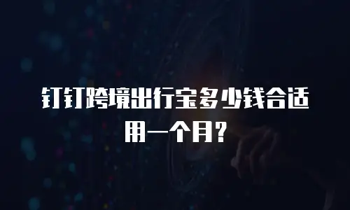 钉钉跨境出行宝多少钱合适用一个月？