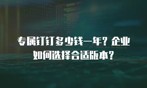 专属钉钉多少钱一年？企业如何选择合适版本？