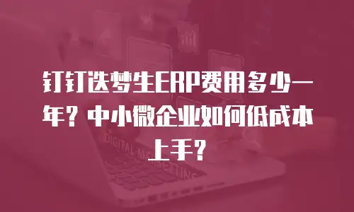 钉钉迭梦生ERP费用多少一年？中小微企业如何低成本上手？