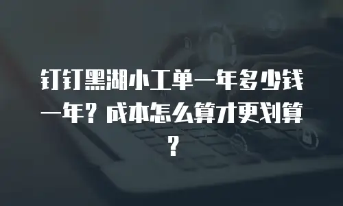 钉钉黑湖小工单一年多少钱一年？成本怎么算才更划算？