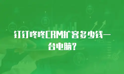 钉钉咚咚CRM扩容多少钱一台电脑？
