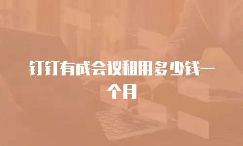 钉钉有成会议租用多少钱一个月