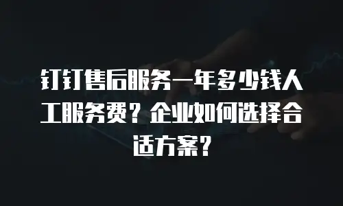 钉钉售后服务一年多少钱人工服务费？企业如何选择合适方案？