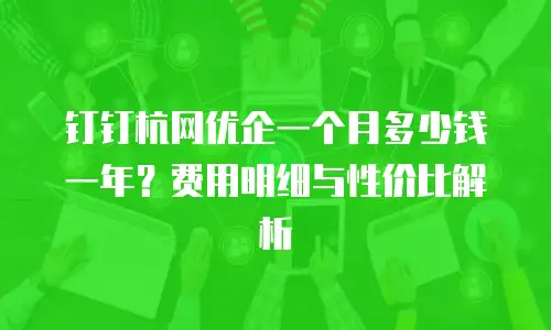 钉钉杭网优企一个月多少钱一年？费用明细与性价比解析