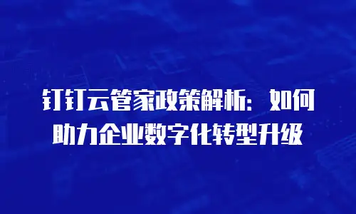 钉钉云管家政策解析：如何助力企业数字化转型升级