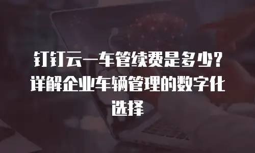 钉钉云一车管续费是多少？详解企业车辆管理的数字化选择