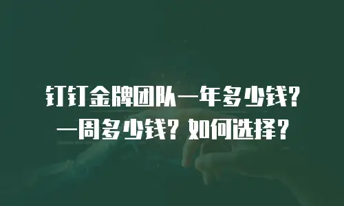 钉钉金牌团队一年多少钱？一周多少钱？如何选择？