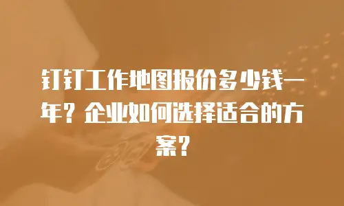 钉钉工作地图报价多少钱一年？企业如何选择适合的方案？