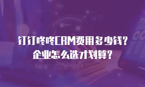钉钉咚咚CRM费用多少钱？企业怎么选才划算？