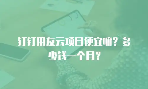 钉钉用友云项目便宜嘛？多少钱一个月？