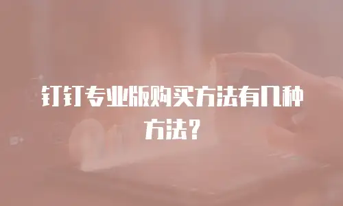 钉钉专业版购买方法有几种方法？