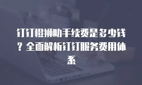 钉钉橙狮助手续费是多少钱？全面解析钉钉服务费用体系