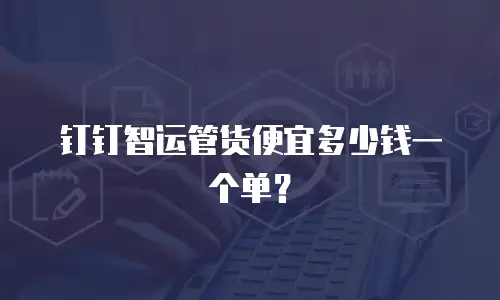 钉钉智运管货便宜多少钱一个单？