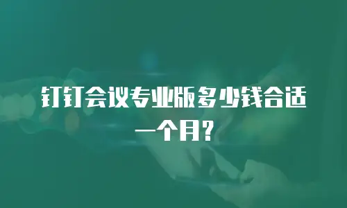钉钉会议专业版多少钱合适一个月？