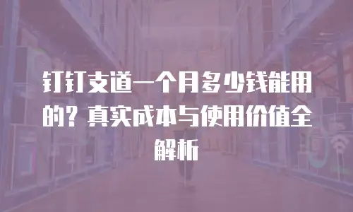 钉钉支道一个月多少钱能用的？真实成本与使用价值全解析