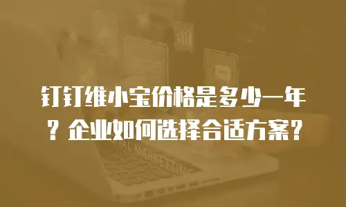 钉钉维小宝价格是多少一年？企业如何选择合适方案？
