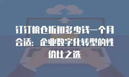 钉钉粮仓折扣多少钱一个月合适：企业数字化转型的性价比之选