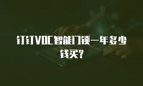 钉钉VOC智能门锁一年多少钱买？