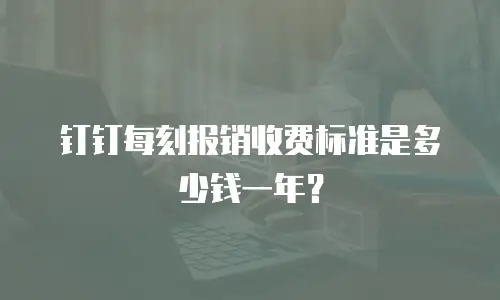 钉钉每刻报销收费标准是多少钱一年？