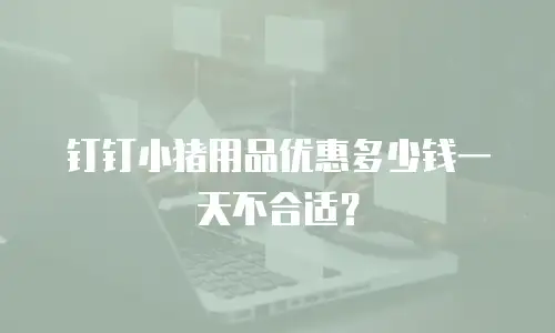 钉钉小猪用品优惠多少钱一天不合适？