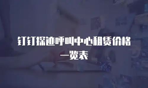钉钉探迹呼叫中心租赁价格一览表