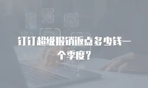 钉钉超级报销返点多少钱一个季度？